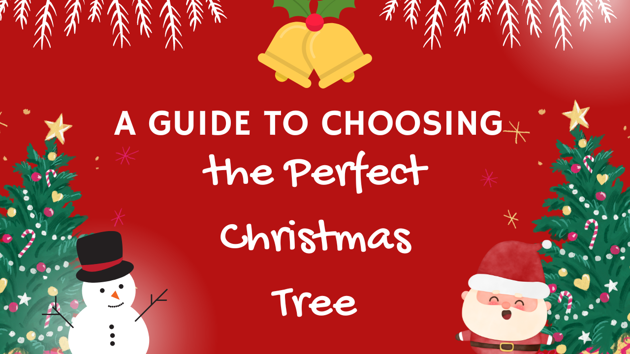 A Guide to Choosing the Perfect Christmas Tree