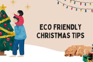 ECO FRIENDLY CHRISTMAS TIPS